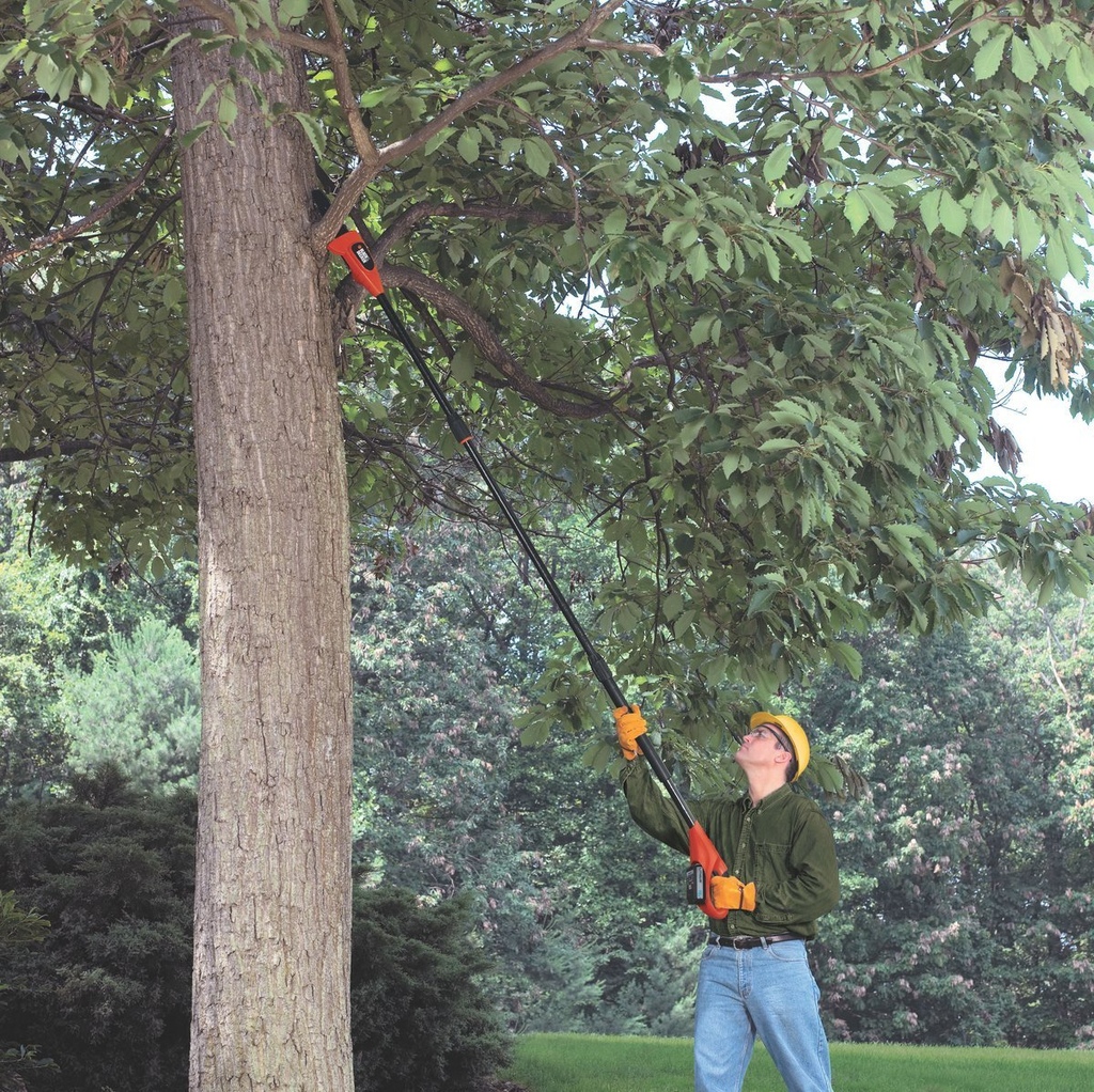 Tagliarami Elettro Sega allungabile da potatura a Batteria agli ioni di